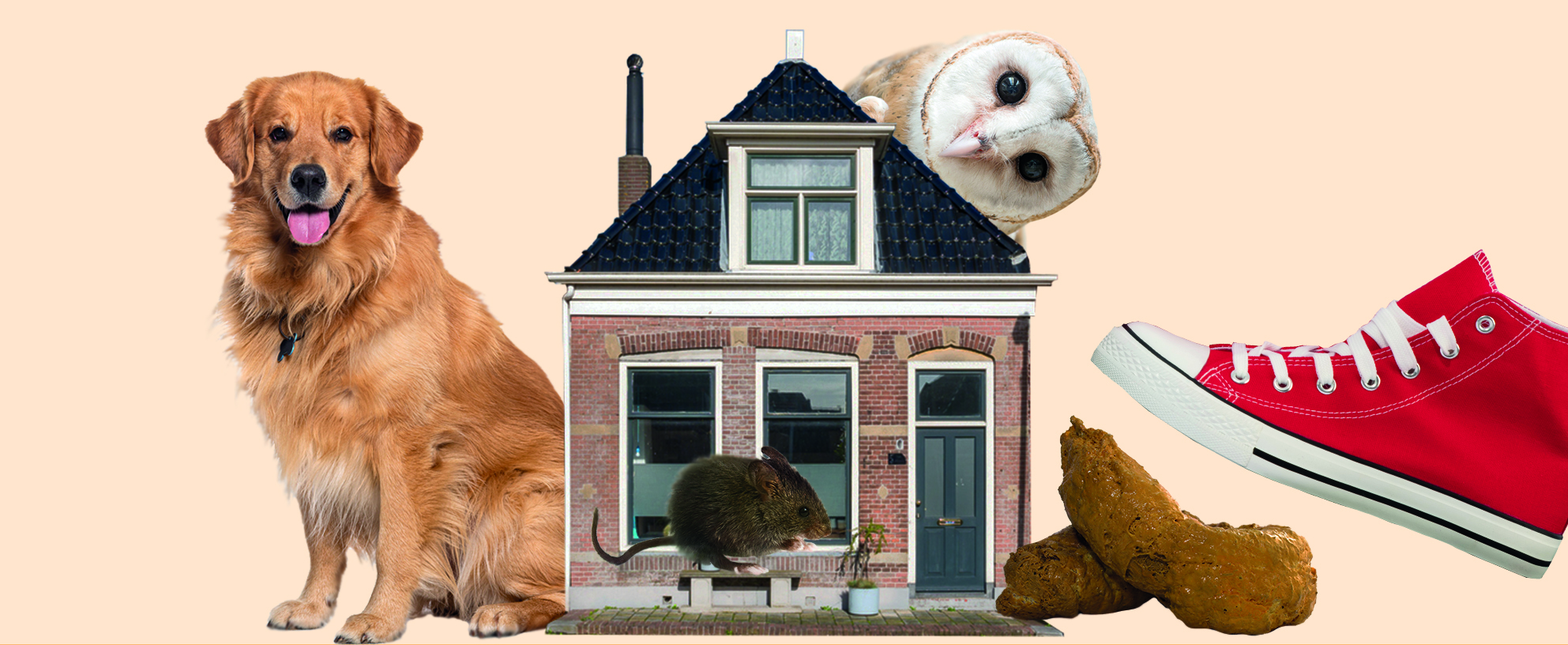 Les6_ÛenOe